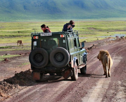 3 days 2 nights SERENGETI PARKU + TARANGIRE PARKU + NGORONGORO PARKU (5)