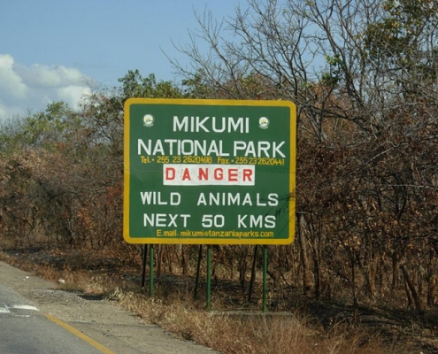 One-day safari in MIKUMI PARK, departure from Zanzibar (8)