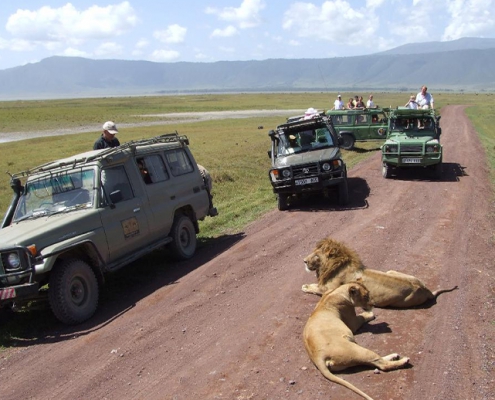 One-day safari in MIKUMI PARK, departure from Zanzibar (9)
