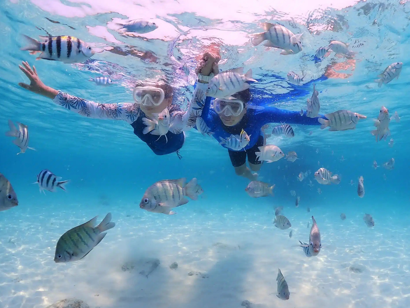 Snorkeling & Lunch At The Rock Restaurant (6)